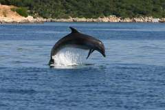 IMG-20250625-WA0023