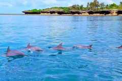 IMG-20250625-WA0025
