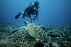 IMG-20250625-WA0028-1