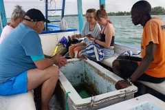 IMG-20250625-WA0035