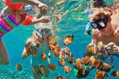 IMG-20250625-WA0037