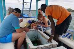 IMG-20250625-WA0041