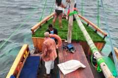 IMG-20250625-WA0045