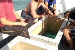 IMG-20250625-WA0057